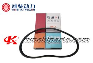 Weichai WP10 correa 612600090600 8PK795