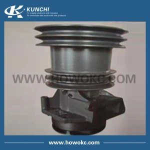 Bomba de agua Weichai Series 612600060260